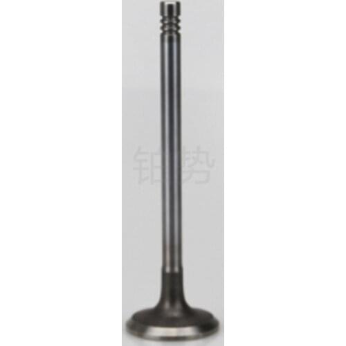 Car Intake valve 2012-b mwF20 116i F30 F21 F31 F20 LC I120i N13 engine intake and exhaust valve oil seal top cup valve stem