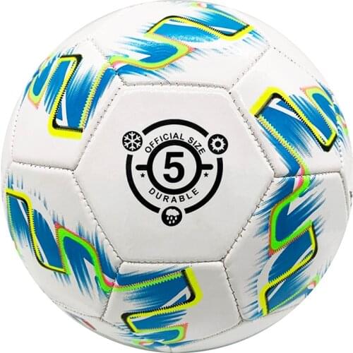 DANDI Popular Wear Resistant Soccer Ball Trainer Goal Team Match Football Standard Size 5 Machine Sewing futbol