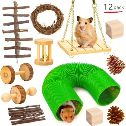 12/10Pcs/Set Small Animal Hamster Toys Natural Wooden Hamster Toys Set Gerbils Guinea Pigs Chinchilla Chew Toys Pet Molar Toys