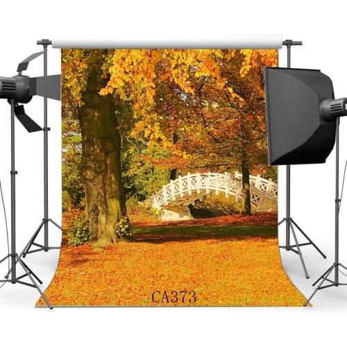 Photography Backdrop Rural Forest Trees Fall Leaves Nature Autumn Newborn Baby Kids Children Adults Portraits Background