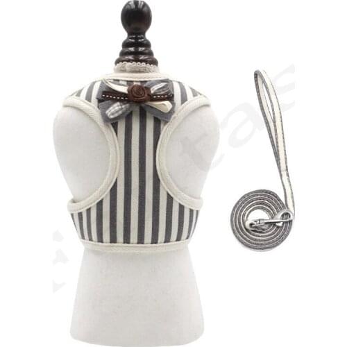 Breathable Dog Harness Leash Set Pet For Small Medium Dog Adjustable Vest Walking Lead Leash For Puppy Polyester Mesh Harness