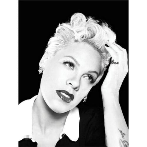 5d girl diamond painting pink portrait full square / round drill American singer diamond mosaic wall sticker