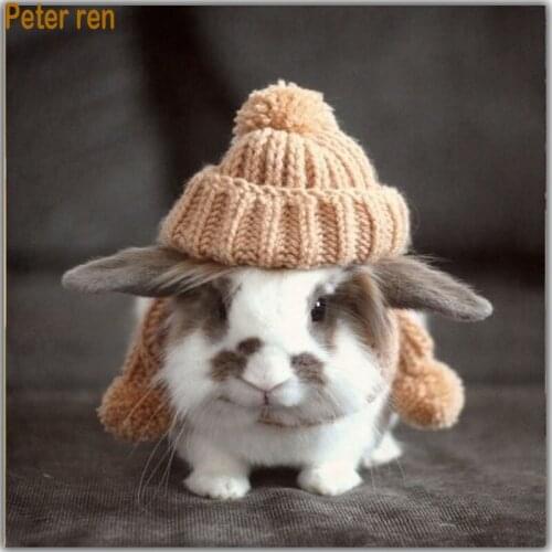 Peter ren Diamond painting kit Cross stitch Rabbit 3d Full square Diamond Mosaic icon rhinestone resin DIY Diamond embroidery