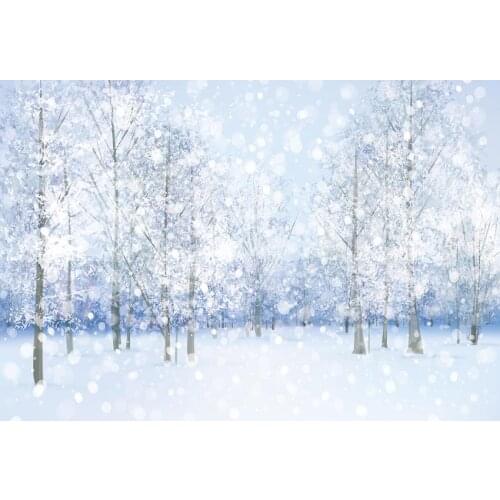 Nature Snow Bokeh Photography Backdrop Frozen Winter Wonderland Christmas Photo Background Newborn Baby Portrait Studio Booth