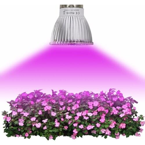 CGN LED Bulbs E27