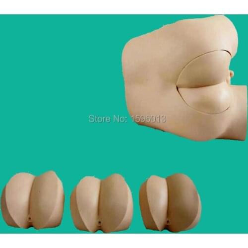 Advanced Rectal Touch Examination Simulator, Rectal Examination Simulator model
