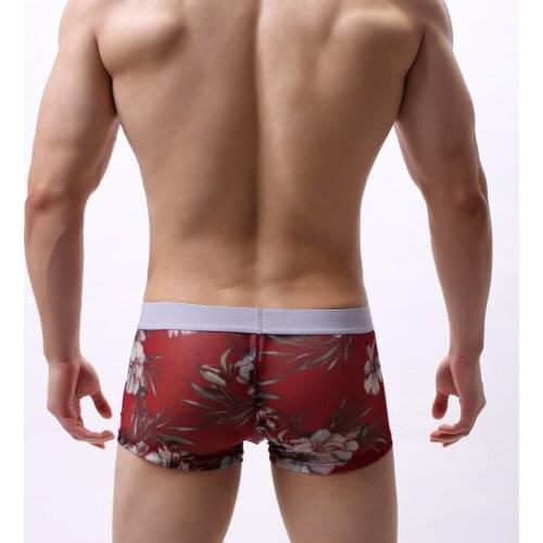 Mens Boxer Sexy Printed Underwear Transparent See Through Shorts Male Panties penis gay Underpants Soft cueca gift for male Y01