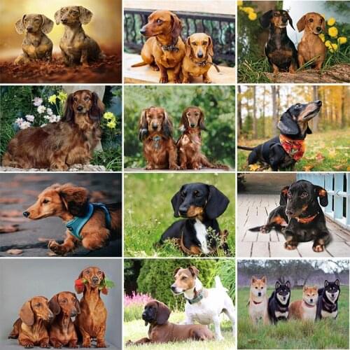 Full Square 3D Diamond Embroidery dog pictures of rhinestones mosaic 5D DIY Diamond painting Dachshund Animals Home Decor C2063