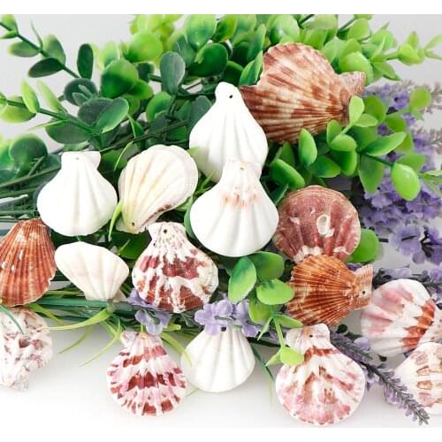 10Pcs/set Nature Beach Fashion Seashells Sea Shells for DIY Caft Home Decor Jewelery Craft Accessories holes Shell Charm