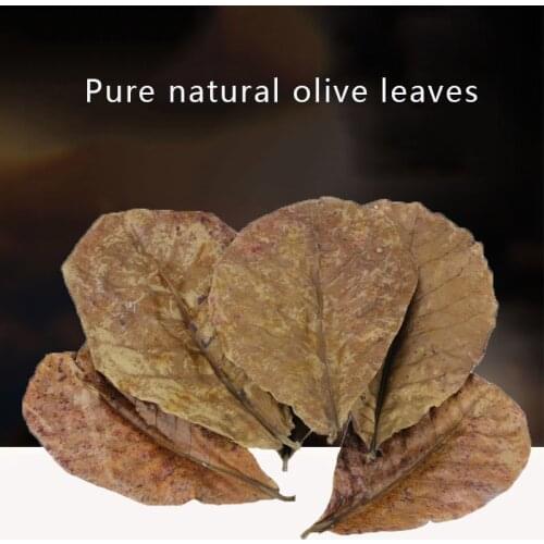 Natural Terminalia Catappa Leaves Almond Leaf Fish Tank Cleaning Tools Balance PH Acidity Aquarium Decoration Accessories