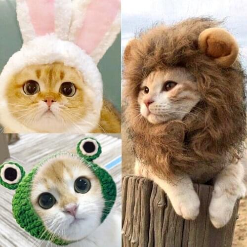 Online celebrity pet cat rabbit ears lion head rabbit cat hat cute birthday Christmas headdress dress hats for cats dog costume