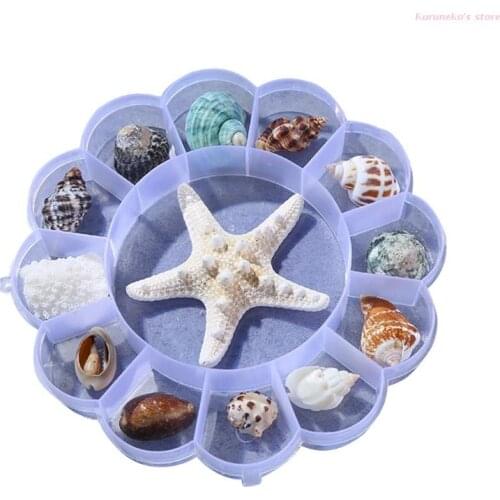 83XC Shell Material Handmade Conch Starfish Specimen Gift Box Children Marine Biology