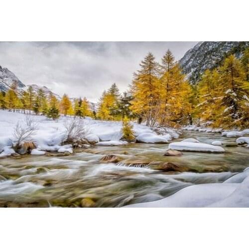 MM 14/16/18/28 CROSS STITCH Full Round Drill 5D DIY Diamond Painting " L2553 Scenic Tree " 3D Embroidery Cross Stitch Home Decor