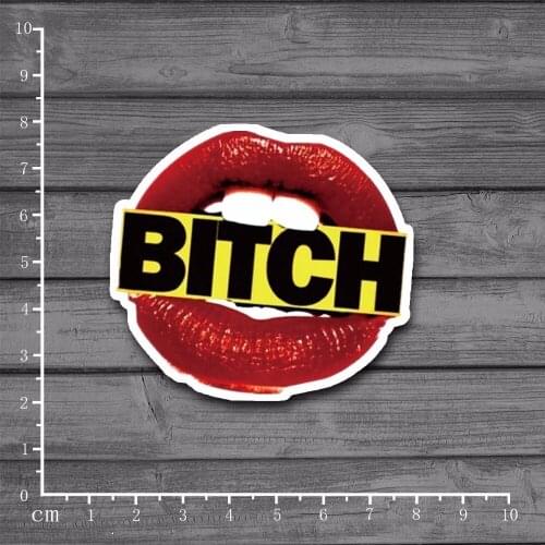 Flaming Lips Stationery Sticker for DIY On Laptop Skin Kid Toy Skateboard Suitcase Luggage Fridge Home Decor[Single]