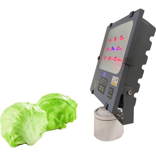 BRIGHT RED SUN Products For The Garden And Vegetable Garden