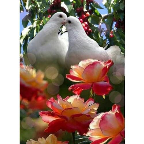 JMINE Div 5D Dove Love Kiss Flower pigeon Full Diamond Painting cross stitch kits art Animal 3D paint by diamonds