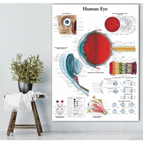 Eye Anatomy Medical Ophthalmology Medicine Canvas Painting Optometrist Gift Poster and Print Wall Art Pictures Clinic Home Decor