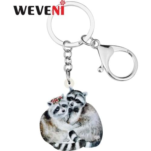 WEVENI Acrylic Lovely Raccoon Keychains Keyring Aesthetic Animal Key Chain Jewelry For Women Kids Lover Classic Gift Car Charms