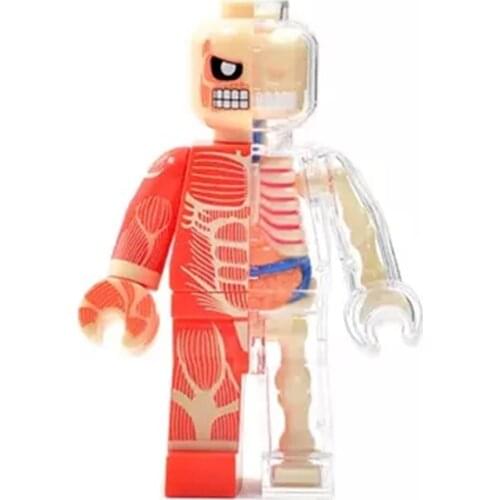 4D Fashion brick man Intelligence Assembling Toy Assembling toy Perspective Anatomy Model DIY Popular Science Appliances