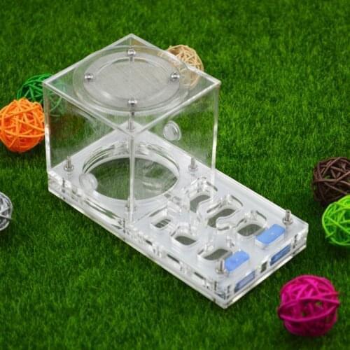 14*8*7cm moisture with feeding area ant nest ,ant farm acryl, insect ant nests villa advanced mania for house ants