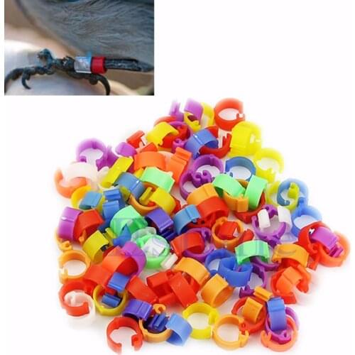 100X Chicken Pigeon Hen Leg Band Poultry Dove Bird Chicks Duck Parrot Clip Rings