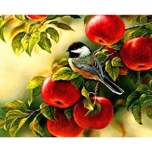 2016 brid Fruit cross stitch embroidered diamond painting needlework stitch stick a diamond square Diamond Embroidery Ak054E
