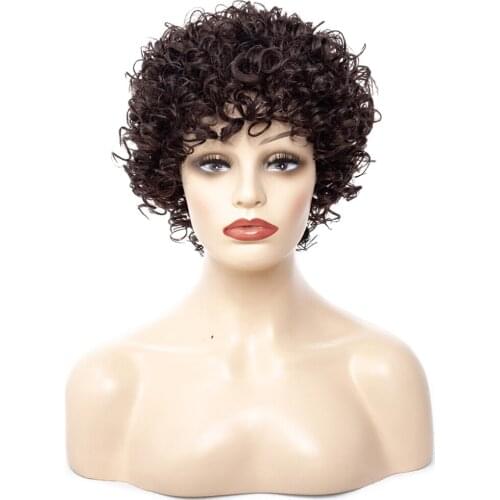 ZM Hair 14" Short Afro Kinky Curly Synthetic Wigs for Women Heat Resistant Realistic Looking Fluffy African American Brown Hair