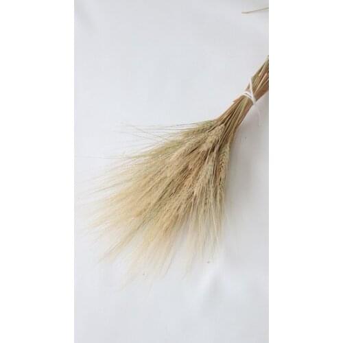 Artificial flower Home Dry Ears Bundle decoration artificial flower искусственный цветок