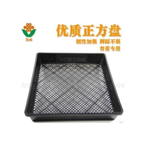 Pas cher Plantation Pousses Plat Choux Plat Plateaux Double Disque Plateaux Plantation Pousses Outil 5 pc