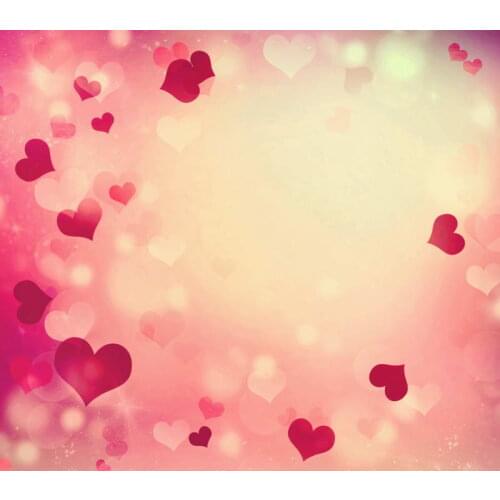 VinylBDS Newborn Backdrops Photography Backgrounds For Photo Studio Baby Photo Backdrops For Photography Fotografia Heart