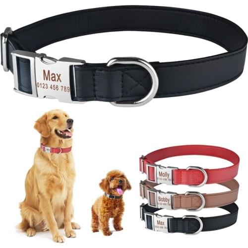 Personalized Dog Collar Custom Engraved Puppy ID Name Tag Buckle Gray Collar S-L