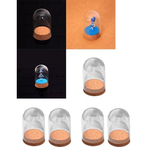 8Pcs Mini Clear Glass Hemisphere Cloche Cover Dome Bell Succulent Terrariums Air Plant Covers for Home Table Decor Kids Gifts