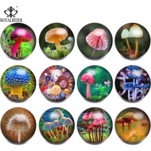 12pcs/lot 18mm Glass Snap Button Mixed Pattern Charms For 18mm Snaps Bracelet Necklace Glass Beads for Jewelry Making kg0106