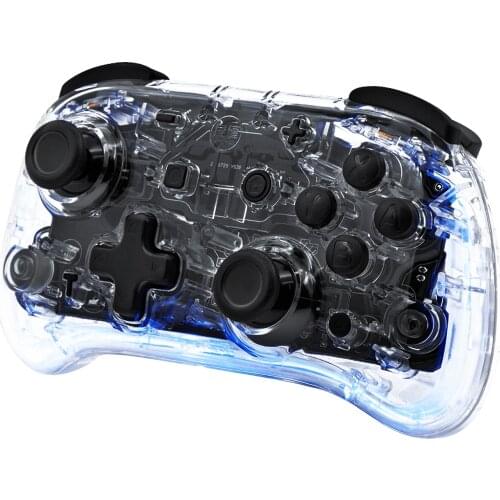 IINE Wake Up Wireless Controller Support Turbo RGB LED Gamepad Handle for Nintend Switch/for Switch Lite/PC/for Steam (L530)