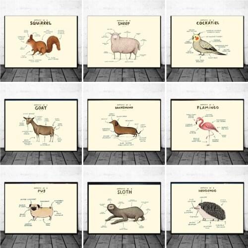 Anatomy Modular Flamingo Fox Sloth Sheep Wall Art Canvas Painting Posters And Prints Pictures For Living Room Home Decor