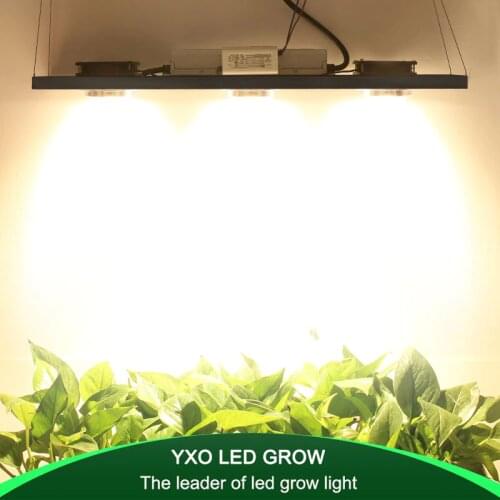 YXO YUXINOU Designer Original Lamps