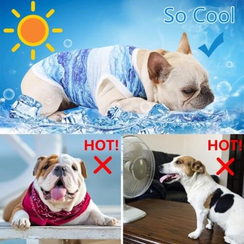 Dog Cooling Vest Pet Cooling Vest Lightweight Cat Cooling Coat Dog Jacket Clothing for Puppy Dog Cats Kittens Blue #ZE