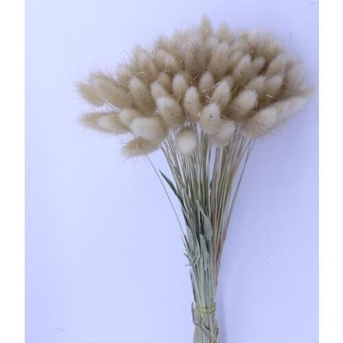 Natural Dried Flowers Bouquet Gradient Lagurus Ovatus Wedding Home Easter Decorations Rabbit Tail Grass Real Plants Photo Props