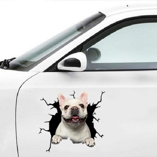Dog Crack Car Sticker Creative Home Car Wall Windows Decoration Sticker Pitbull Husky Bulldog Crack Car/Toilet/Fridge Sticker