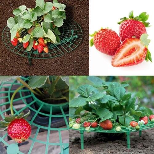 1pcs Strawberry Stand Balcony Courtyard Strawberry Fruit Tools Climbing Stands Planting Pillar Gardening Support Vine Green X7C6