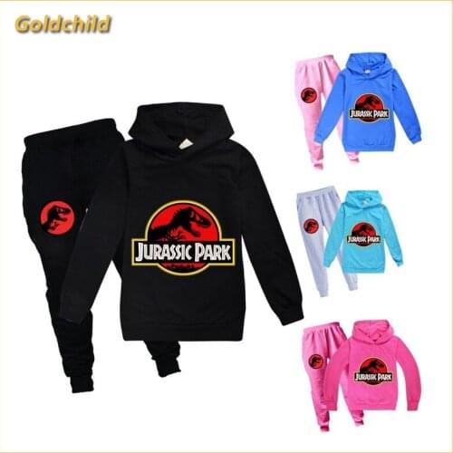 Dinosaur Toddler Boys Clothing Set Spring Autumn Hoodies Tracksuit Jurassic Hooded T-Shirt Suit Children Kid Girl Sweatshirt