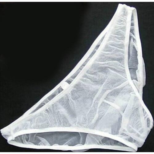 Underwear Male Panties Breathable Net Underpants Mens Briefs Sexy Tulle Netting Transparent Lingerie Sexy Elastic Soft Underwar