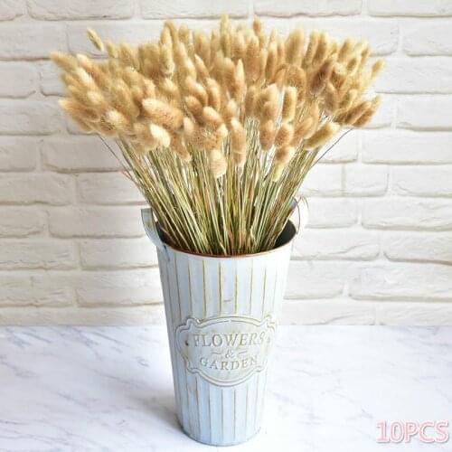 10PCS Rabbit Tail Grass Dried Flowers For Wedding Party DIY Craft Scrapbook Bouquet