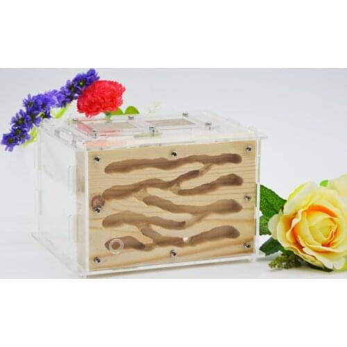 DIY Wooden Ant Farm Ecological Acrylic Ant Nest with Feeding Area Wood Ant House for Pet Anthill Hot Sale