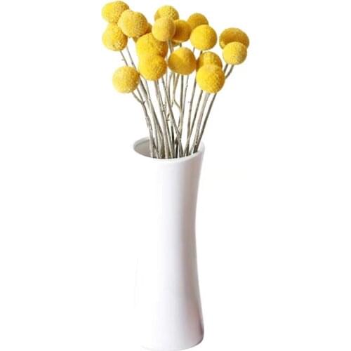 10pcs christmas decor yellow billy balls natural dried eternell craspedia bouquets forever gold orbs flower