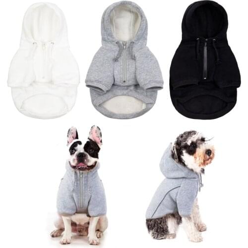 Urban Paws Sweatshirts For Dogs