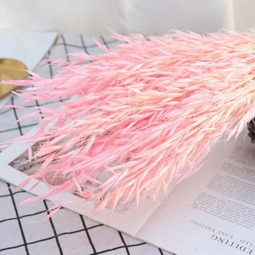 25PCS Dried Natural Plant Real Dry Wheat Flower Bouquet For Home Decor Wedding