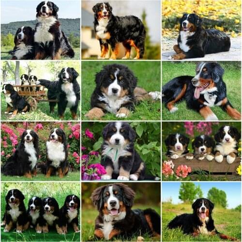 EverShine Diamond Painting Dog Full Drill Square Diamond Mosaic Animal Cross Stitch Embroidery Spring Rhinestones Handmade Hobby