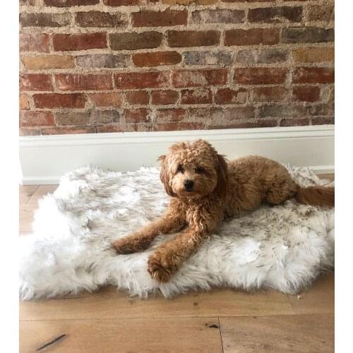 Faux Fur Dog Mat Curve White Winter Soft Warm Cozy Pet Cushion for Medium Large Dogs & Cats - Durable & Luxurious Throws Blanket
