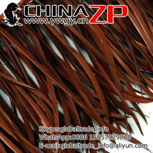 Wholesale in CHINAZP Factory 10yards/lot Best Quality Dyed Brown Goose Biots Feathers Trim